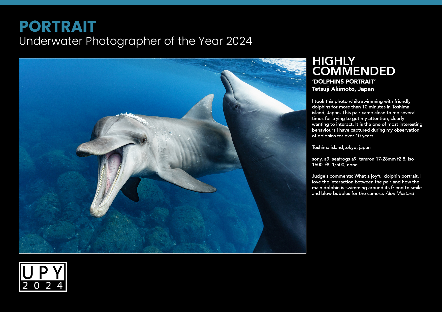 Underwater photographer of the year 2024  “Portrait” Highly Commended